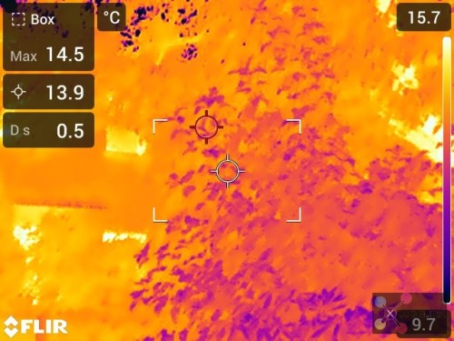 IR_14605.jpg